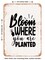 DECORATIVE METAL SIGN - Bloom Where You Are Planted - Vintage Rusty Look
